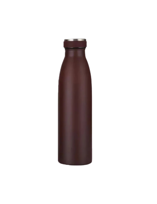 DeskDuo Steel Bottle